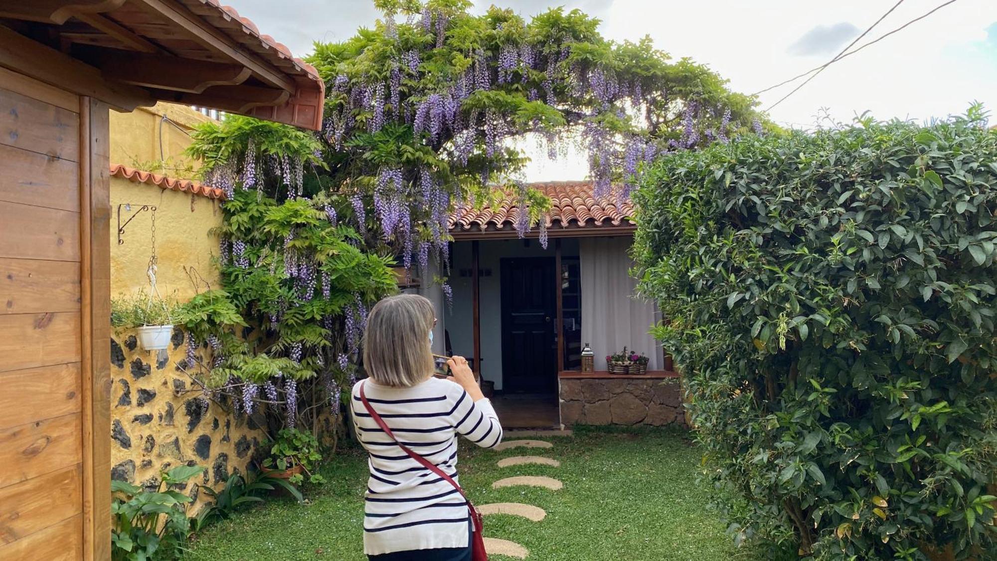 Casa Rural La Ganania Los Realejos Ruang foto